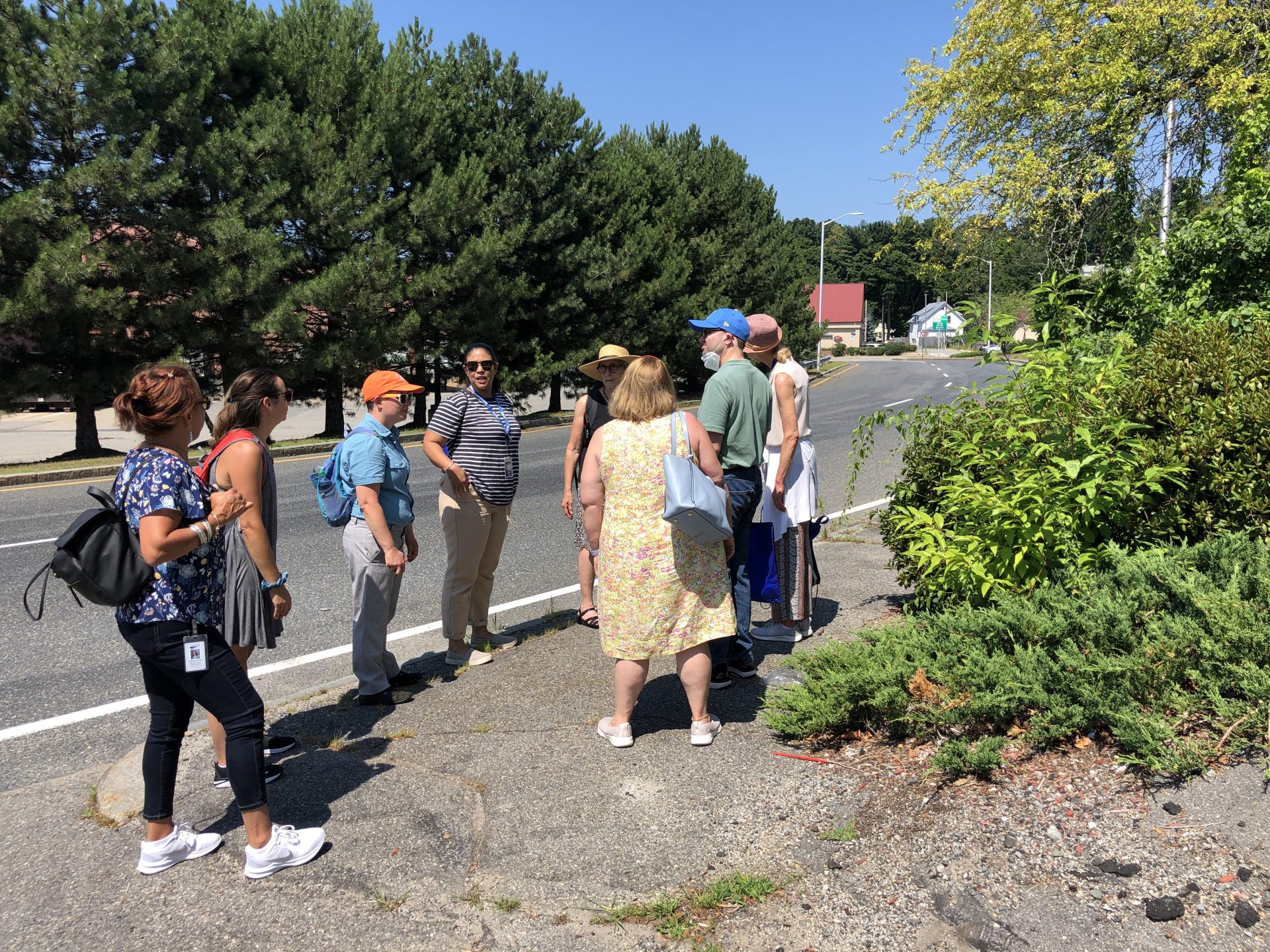 A group of people stand on a crumbling sidewalk next to roadway. Overgrown shrubs block the sidewalk further down the road.