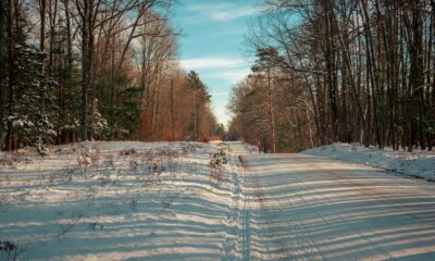 Don’t Forget About Non-Drivers in Rural America